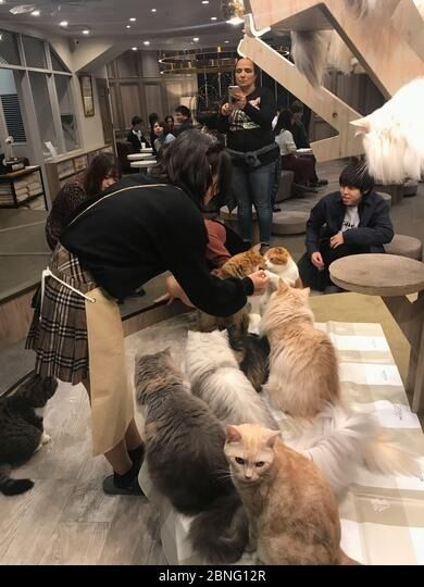 최신 회사 사례 특정 고객 피드백 (익명 편집)